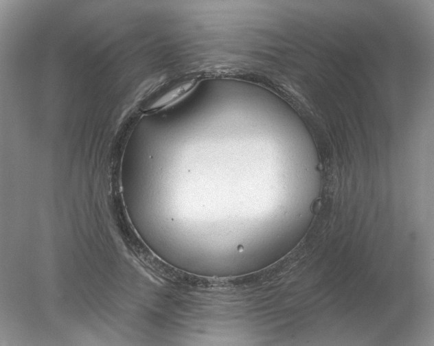 X0000078280738200611172056