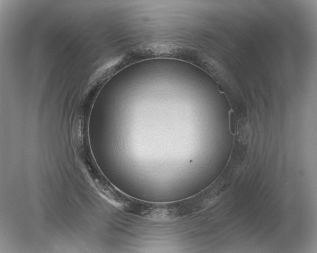 X0000078280740200611172056