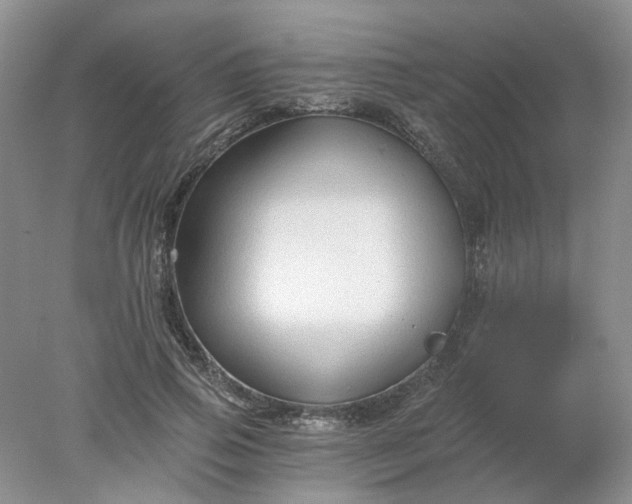 X0000078280741200611172056