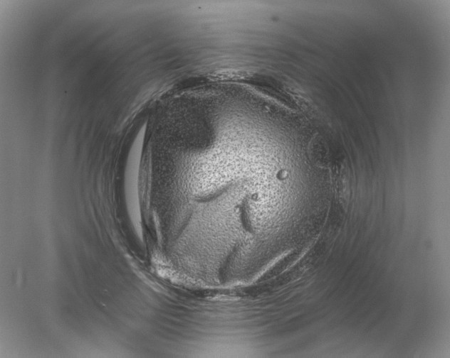 X0000078280742200611172056