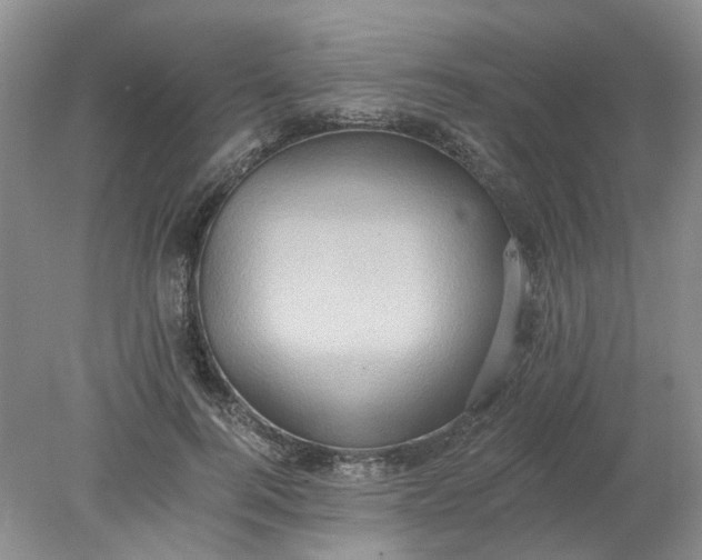 X0000078280744200611172056