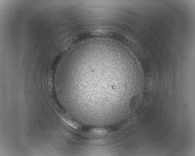 X0000078280749200611172056