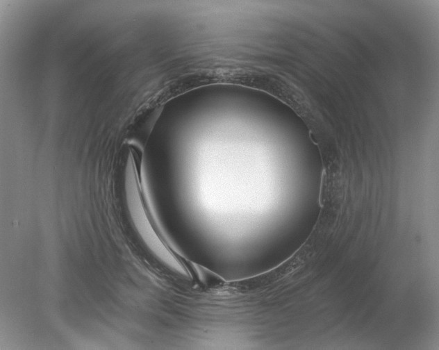 X0000078280750200611172056