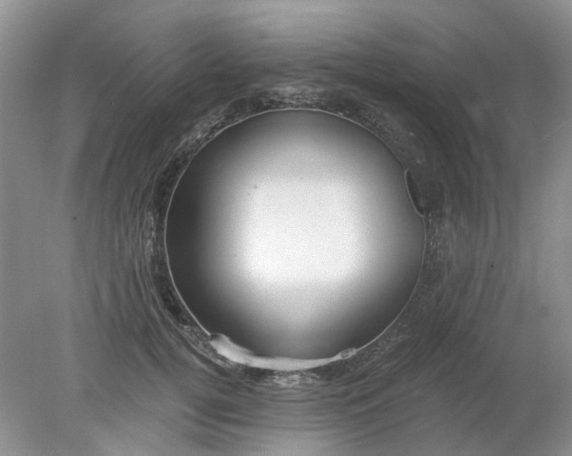 X0000078280752200611172056