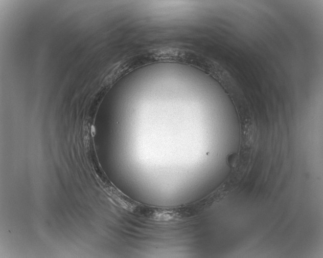 X0000078280753200611172056