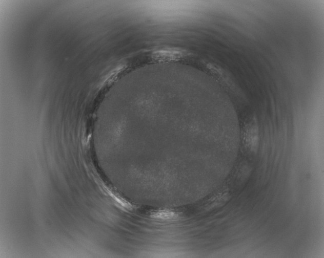 X0000078280759200611172056