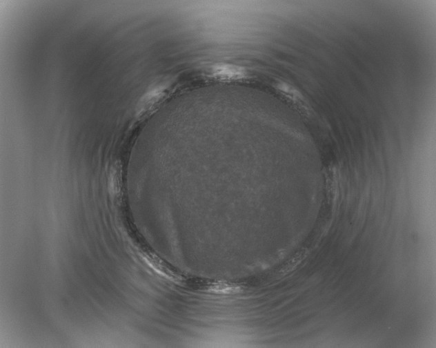 X0000078280760200611172056