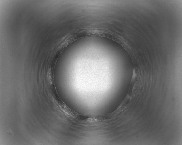 X0000078280764200611172056