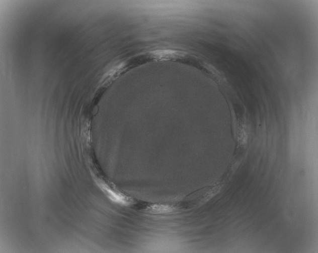 X0000078280766200611172056