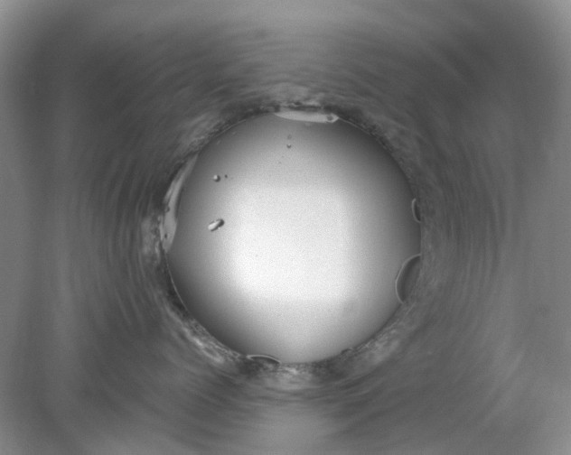 X0000078280768200611172056