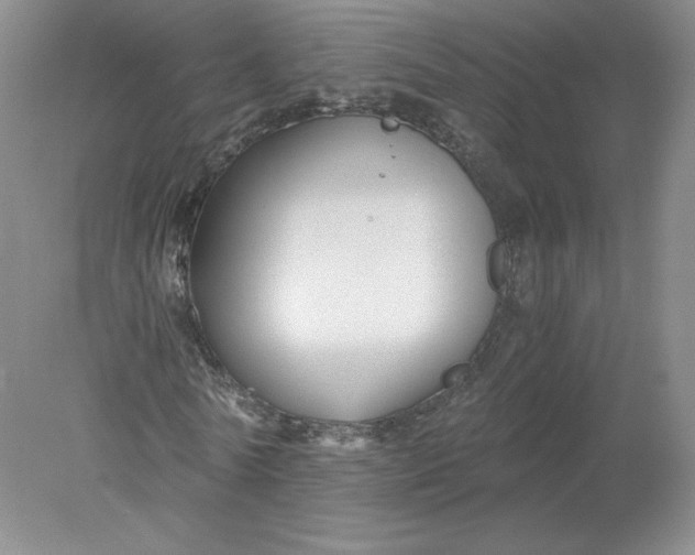 X0000078280770200611172055