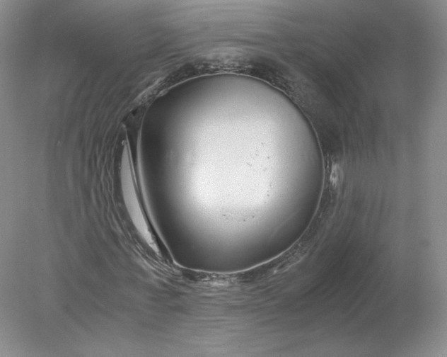 X0000078280771200611172055