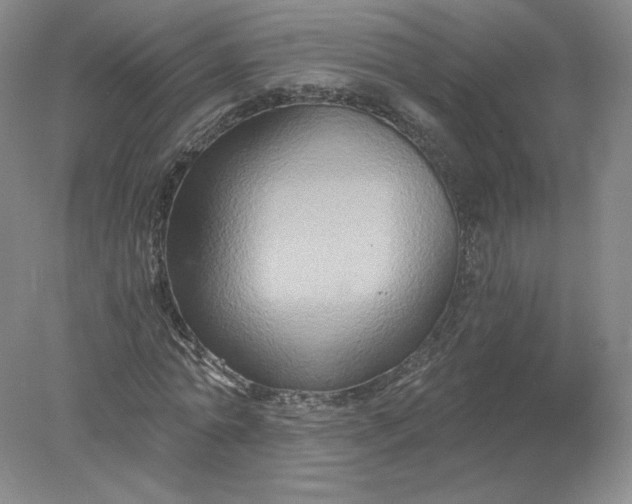 X0000078280774200611172055