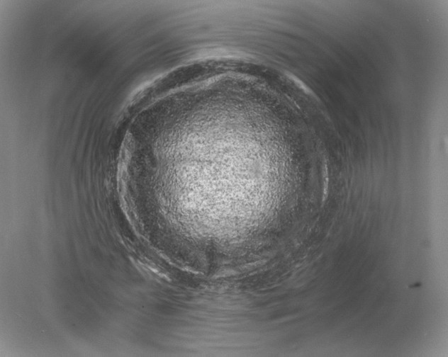 X0000078280775200611172055