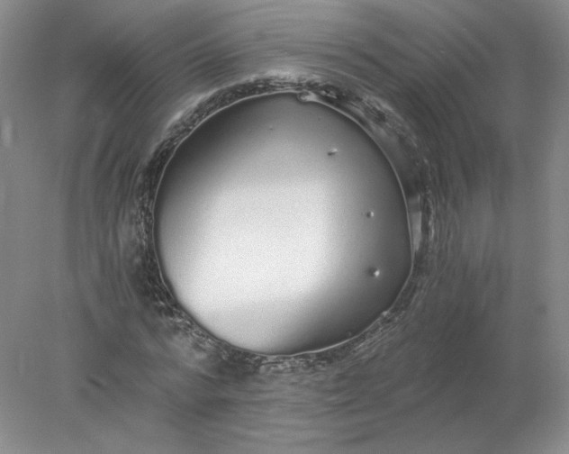 X0000078280776200611172055