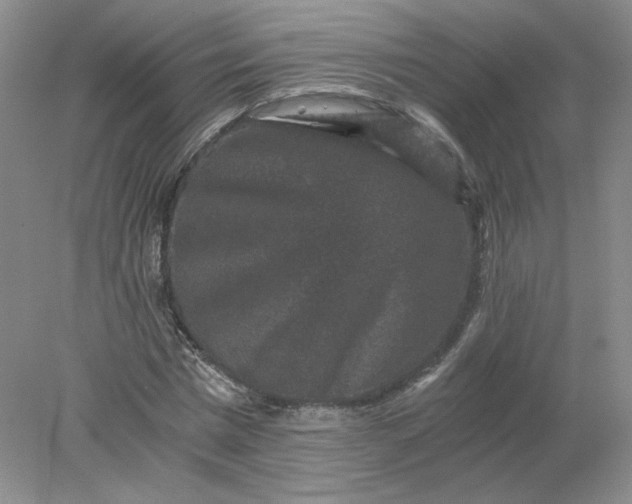 X0000078280777200611172055