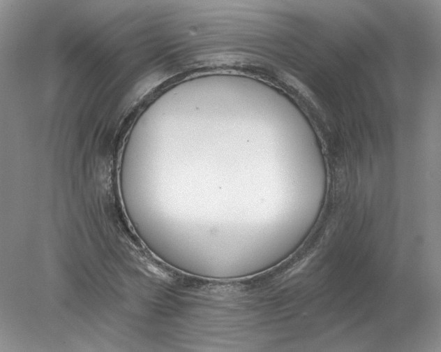 X0000078280778200611172055