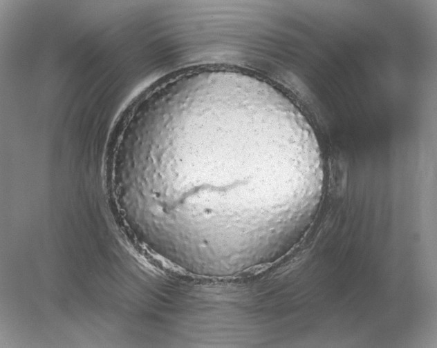 X0000078280780200611172055