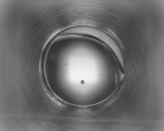 X0000078280788200611172055