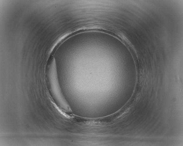 X0000078280789200611172055