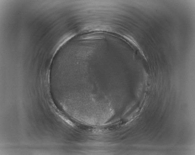 X0000078280790200611172055