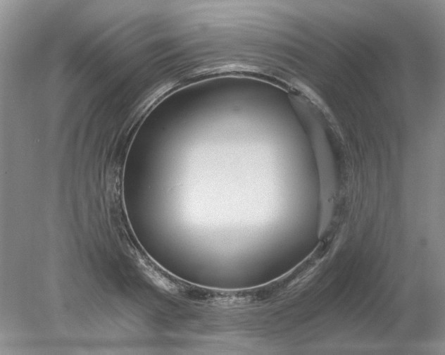 X0000078280793200611172055