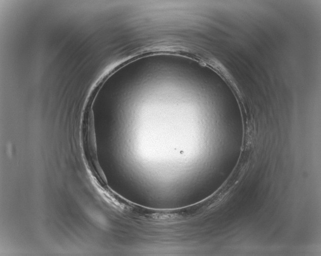 X0000078280795200611172055