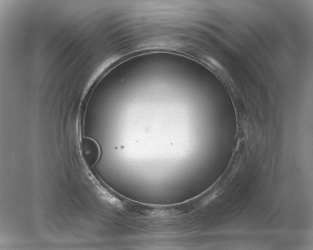 X0000078280796200611172055