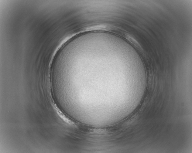 X0000078280800200611172055