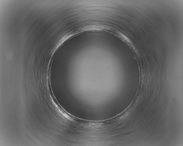 X0000078280802200611172055