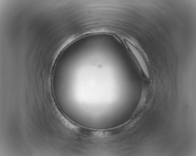 X0000078280805200611172055