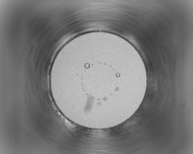 X0000078280807200611172055