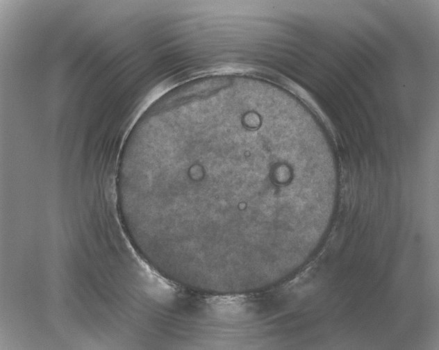 X0000078280810200611172055