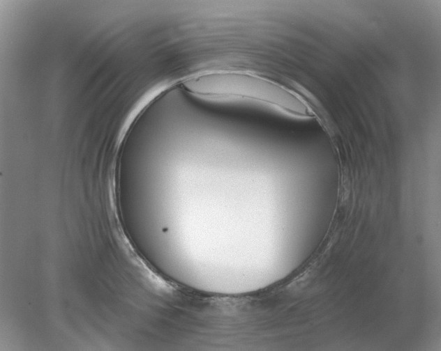 X0000078280812200611172055