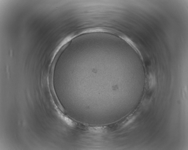 X0000078280813200611172055