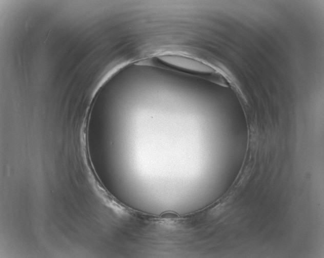 X0000078280814200611172055