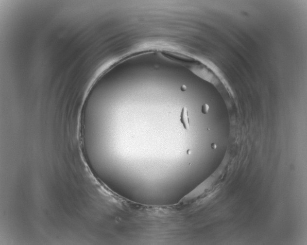 X0000078280815200611172055