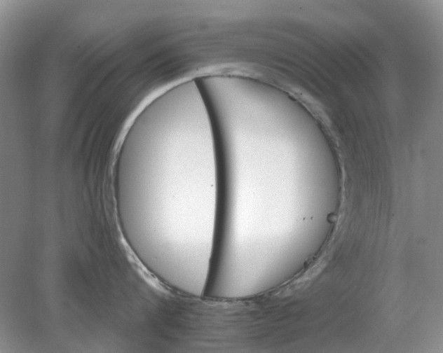 X0000078280816200611172055