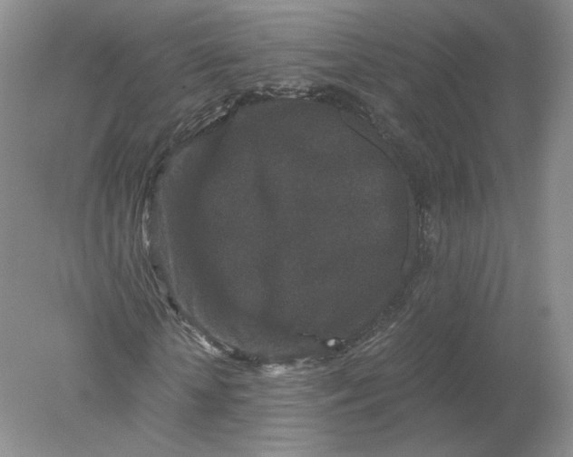 X0000078280818200611172054