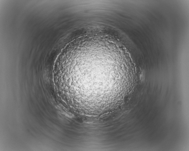 X0000078280819200611172054