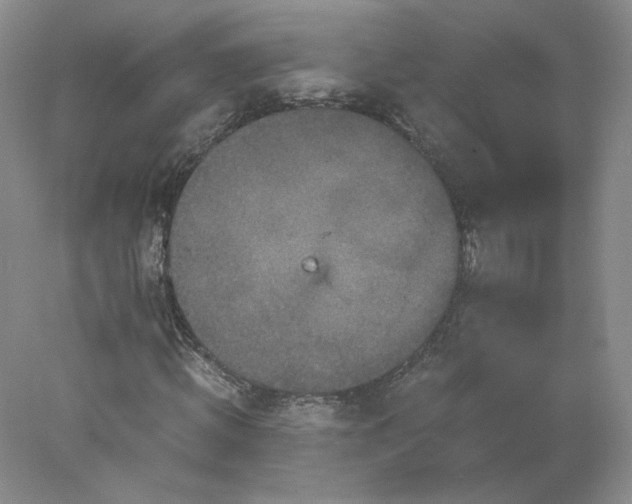 X0000078280820200611172054