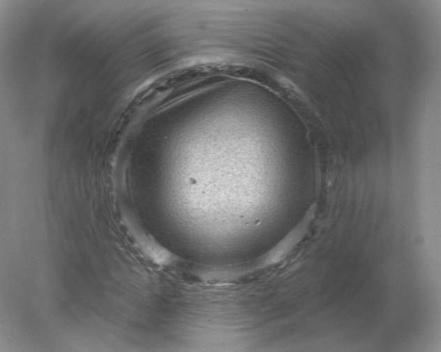 X0000078280822200611172054