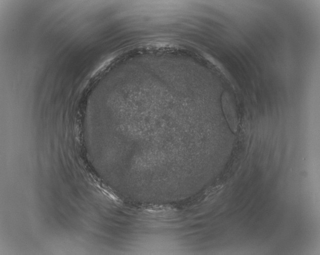 X0000078280823200611172054