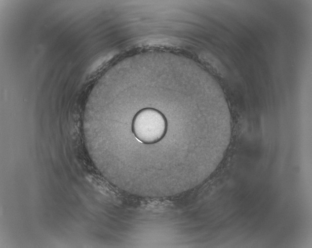 X0000078280824200611172054