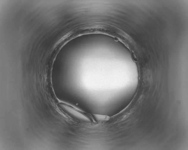 X0000078280826200611172054