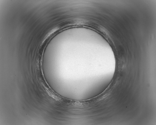 X0000078280827200611172054