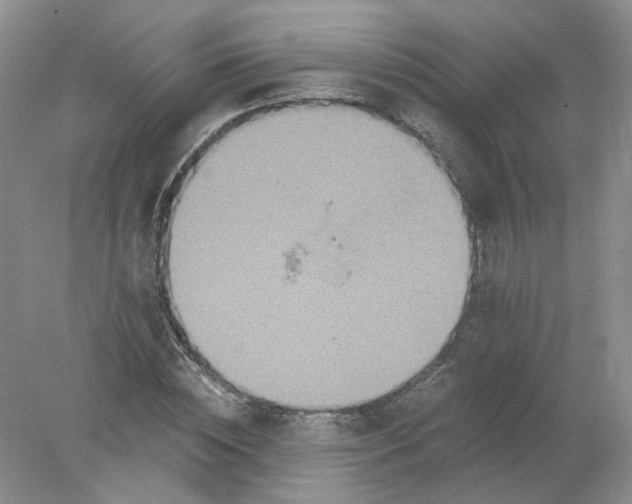 X0000078280828200611172054