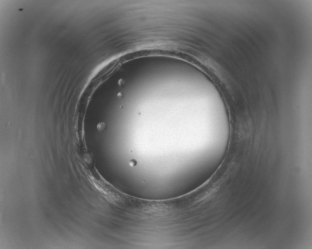 X0000078280830200611172054