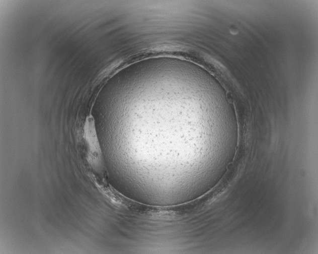 X0000078280833200611172054