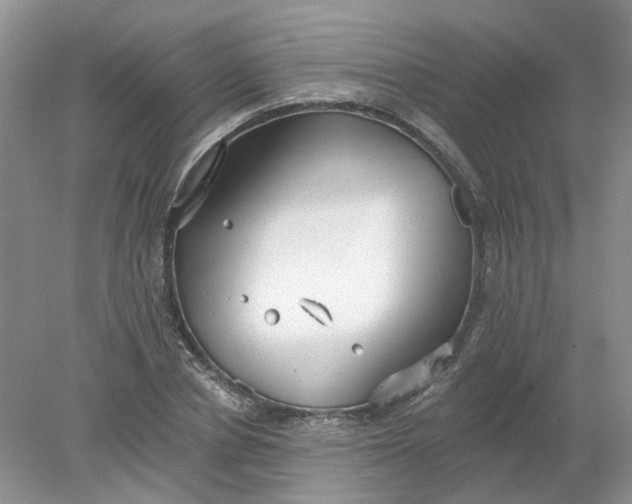 X0000078280834200611172054